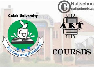 Caleb University Courses for Art Students to Study