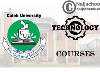 Caleb University Courses for Technology Students
