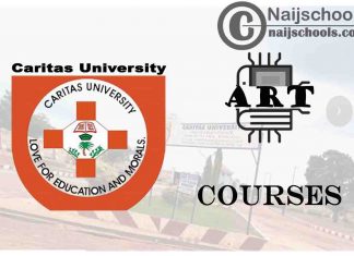 Caritas University Courses for Art Students to Study