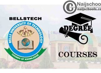 Degree Courses Offered in Bells University for Students