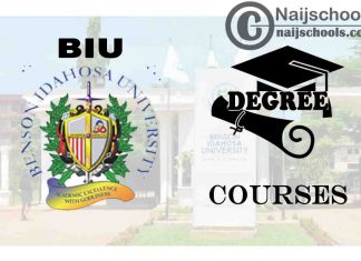 Degree Courses Offered in BIU for Students to Study