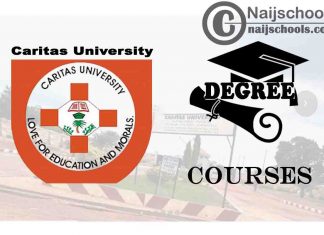 Degree Courses Offered in Caritas University
