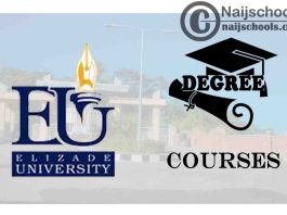 Degree Courses Offered in Elizade University