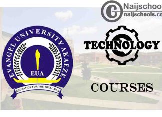 Evangel University Courses for Technology Students