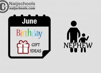 42 June Birthday Gifts to Buy For Your Nephew in 2022