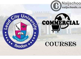 Lead City University Courses for Commercial Students