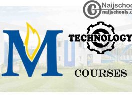 Madonna University Courses for Technology Students