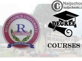 Degree Courses Offered in Renaissance University