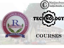 Renaissance University Courses for Technology Students