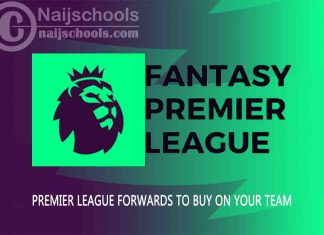 Premier League Forwards to Buy on Your FPL Team 2023/2024