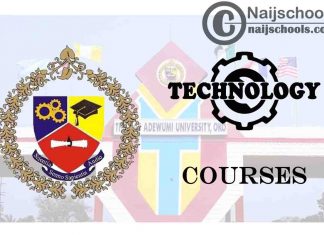 Thomas Adewumi University Courses for Technology Students