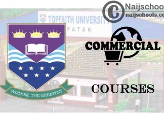 Topfaith University Courses for Commercial Students