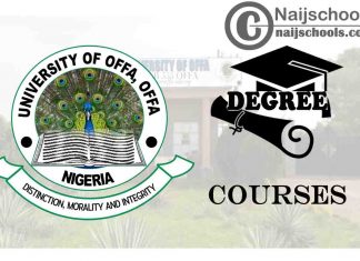 Degree Courses Offered in UNIOFFA
