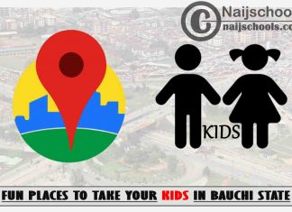 Fun Places to Take Your Kids in Bauchi State