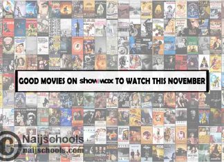 Watch Good Showmax November Movies; 15 Options