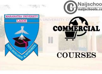 Maranatha University Courses for Commercial Students