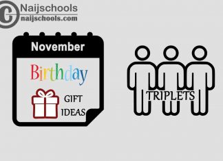 27 November Birthday Gifts to Buy For Your Triplets
