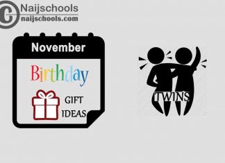 27 November Birthday Gifts to Buy For Your Twins