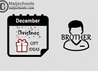 13 Christmas 2022 Gifts to Buy for Your Brother