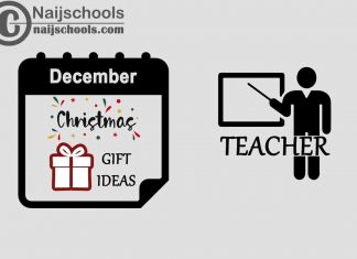 18 Christmas Holiday 2022 Gifts to Buy for Your Teacher