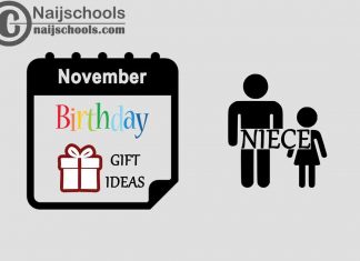 15 November Birthday Gifts to Buy For Your Niece