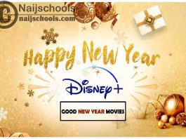 13 Good Movies on Disney Plus to Watch this New Year