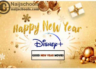 13 Good Movies on Disney Plus to Watch this New Year
