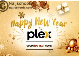 13 Good Movies on PLEX to Watch this New Year