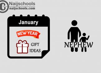 11 January New Year Gifts to Buy for Your Nephew