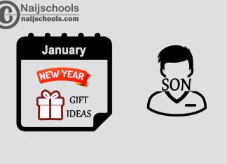 12 January New Year Gifts to Buy for Your Son
