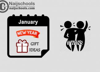 27 January New Year Gifts to Buy for Twins