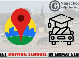 Best Enugu State Driving Schools Near You; Top 11 Schools