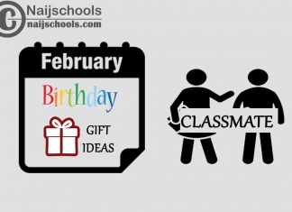 15 February Birthday Gifts to Buy For Your Classmate 2024