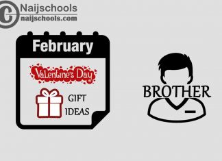13 Valentine's Day Gifts to Buy for Your Brother 2023