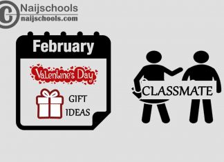 18 Valentine's Day Gifts to Buy for Your Classmate 2023