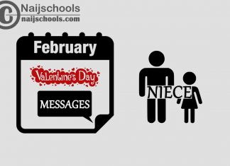 13 Valentine's Day Messages to Send Your Niece 2023