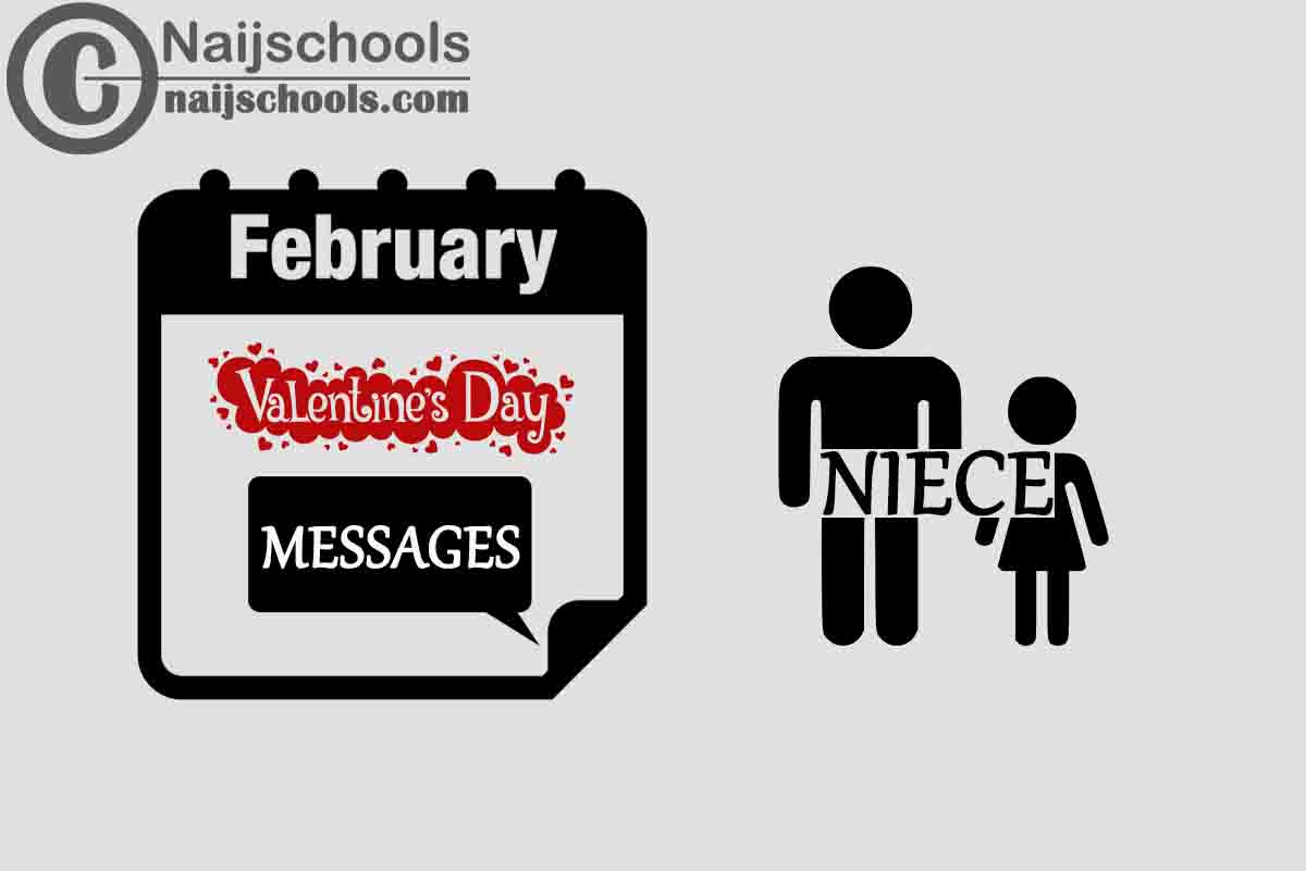 13 Valentine's Day Messages to Send Your Niece 2024 NAIJSCHOOLS
