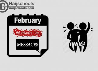 27 Valentine's Day Messages to Send Twins 2023
