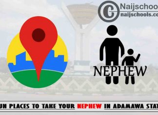 13 Fun Places to Take Your Nephew in Adamawa State Nigeria