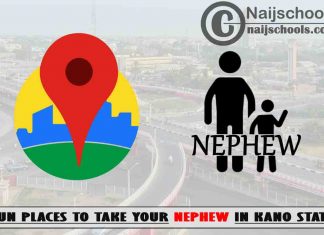 13 Fun Places to Take Your Nephew in Kano State Nigeria