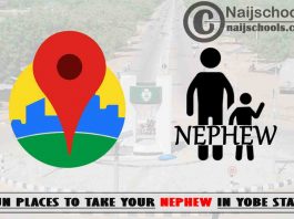 13 Fun Places to Take Your Nephew in Yobe State Nigeria