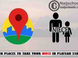 13 Fun Places to Take Your Niece in Plateau State Nigeria