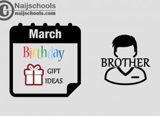 15 March Birthday Gifts to Buy For Your Brother 2024