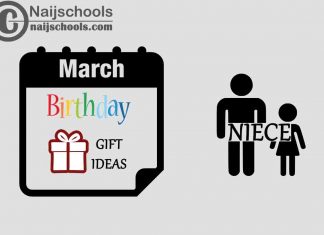 15 March Birthday Gifts to Buy For Your Niece 2024