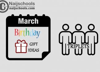 27 March Birthday Gifts to Buy for Triplets 2023