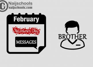 15 Valentine's Day Messages to Send Your Brother 2023