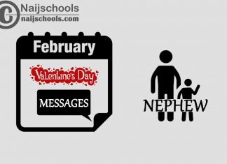 15 Valentine's Day Messages to Send Your Nephew 2023