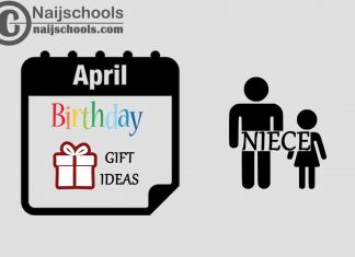 15 April Birthday Gifts to Buy for Your Niece 2023