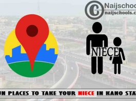 13 Fun Places to Take Your Niece in Kano State Nigeria