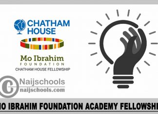 Mo Ibrahim Foundation Academy Fellowship 2024